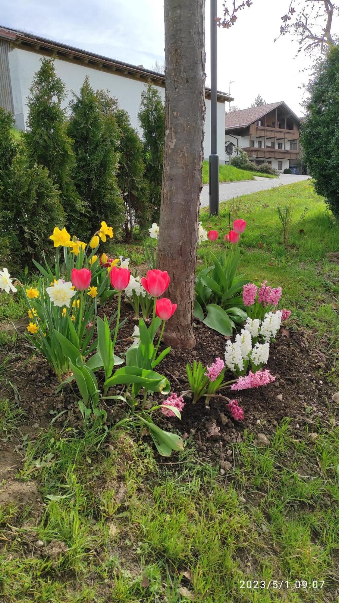 Ferienhaus Am Bach Achslach エクステリア 写真