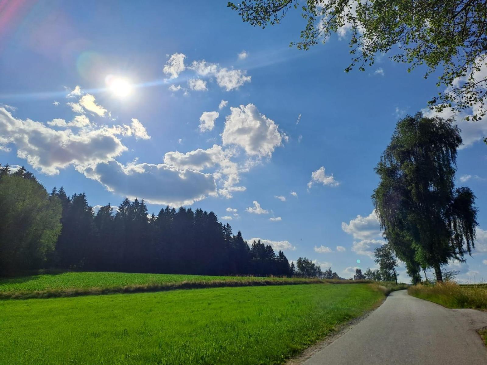 Ferienhaus Am Bach Achslach エクステリア 写真