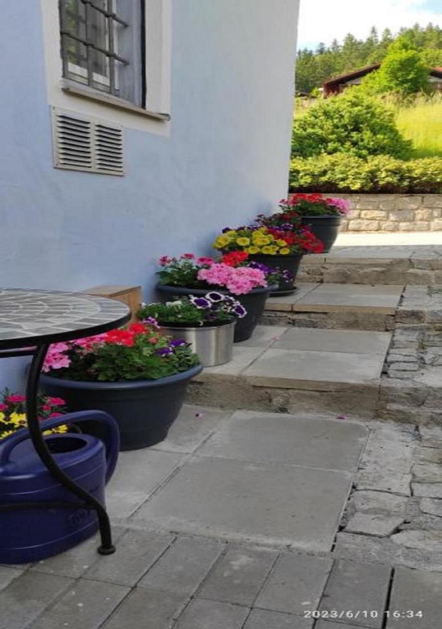Ferienhaus Am Bach Achslach エクステリア 写真